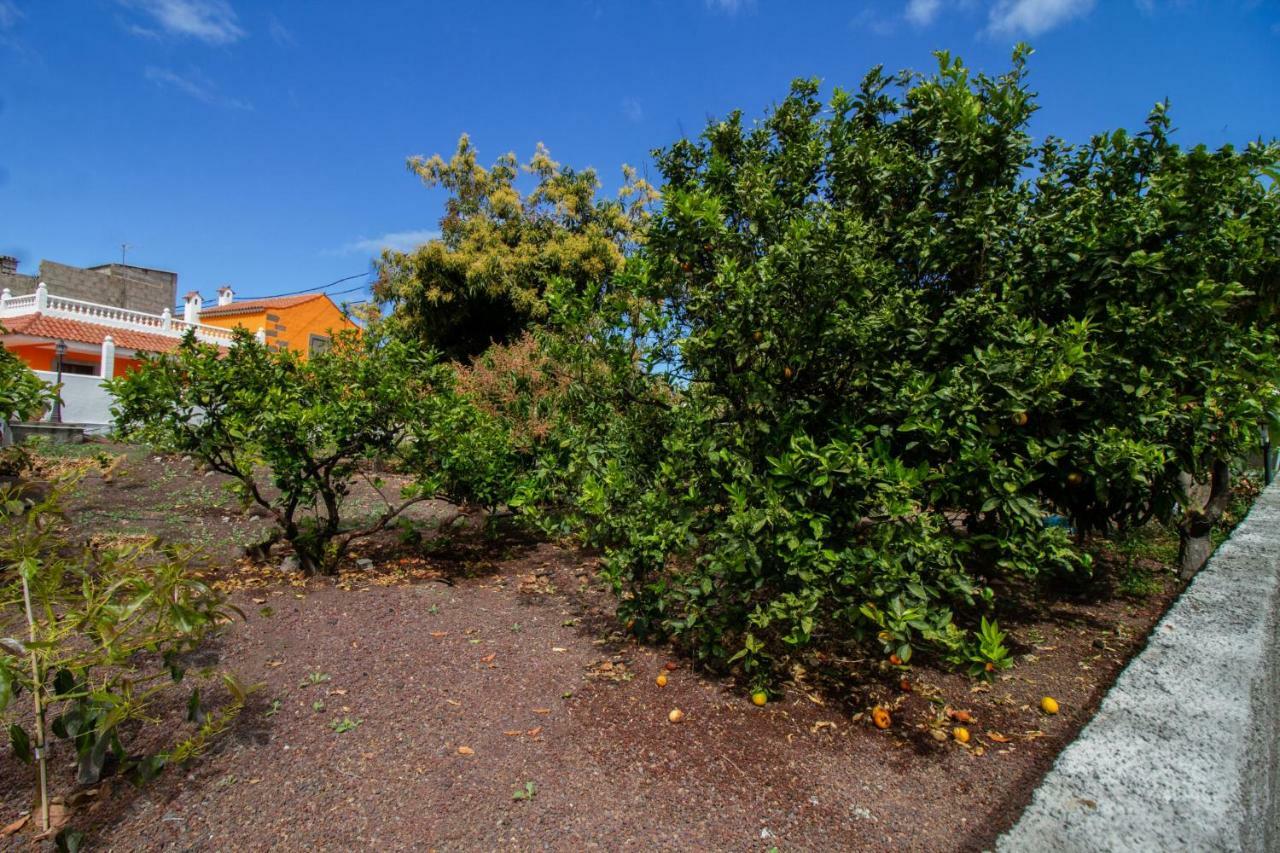 Casa Marjoes - Terrace, BBQ&Parking Villa Moya  Bagian luar foto
