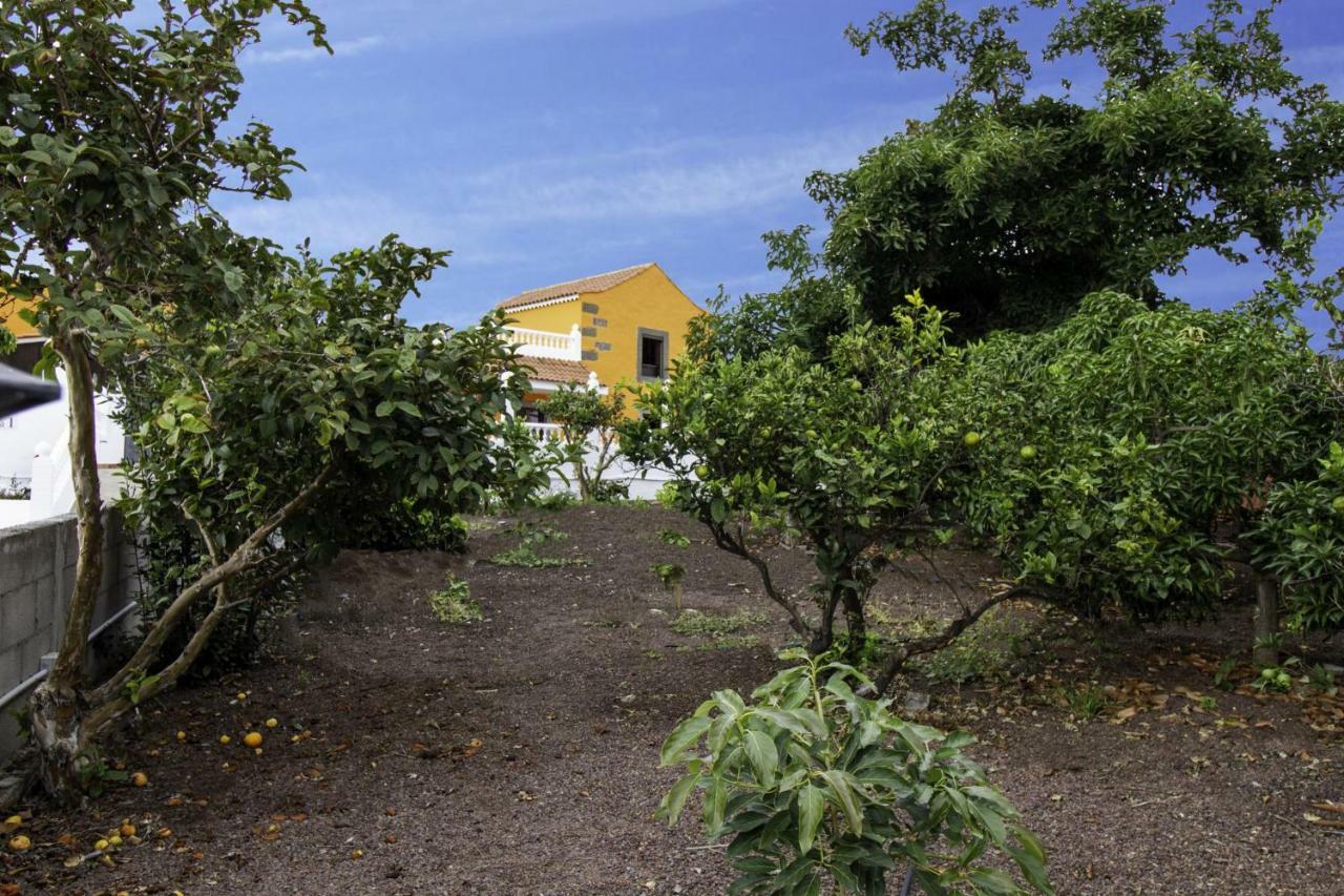 Casa Marjoes - Terrace, BBQ&Parking Villa Moya  Bagian luar foto